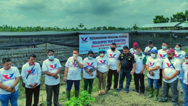 Dukung Program Jokowi, Perindo Bina Petani Kembangkan Komoditi Porang di Deliserdang