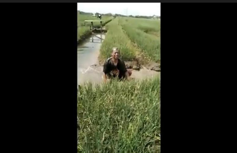 Viral Video Aksi Petani di Demak Protes Harga Bawang Merah Anjlok 