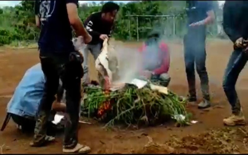 Tanam Ganja di Kebun Kopi, Petani dan Anaknya di Empat Lawang Ditangkap Polisi  