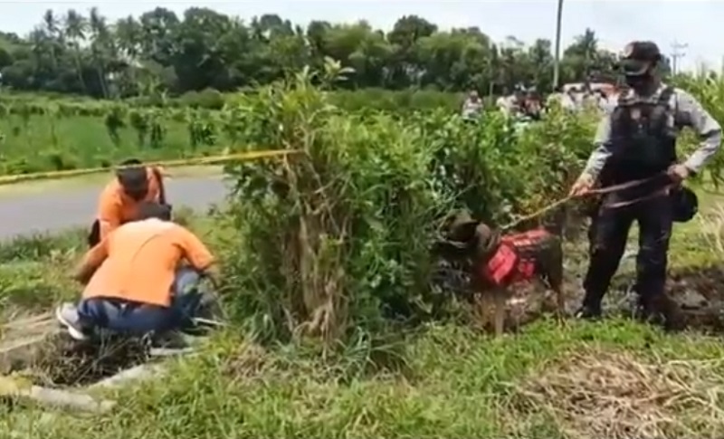 Mayat di Pematang Sawah Jember Diduga Dibunuh, Polisi Cari Bukti Baru 