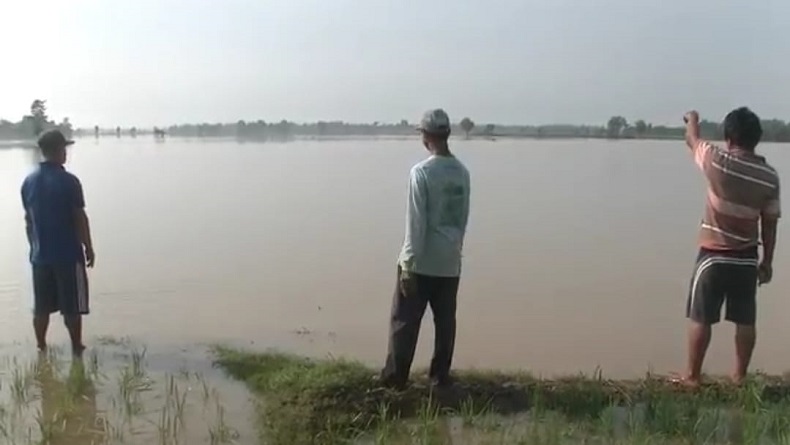 Puluhan Hektare Lahan Pertanian di Gunungkidul Terendam Banjir