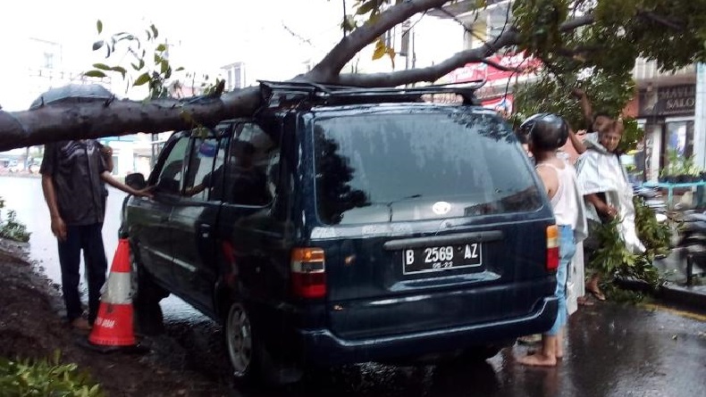 Waspadai Cuaca Ekstrem, Bupati Gowa Instruksikan Pangkas Pohon Rawan Tumbang