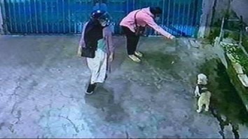 Viral, 2 Perempuan Curi Anjing di Medan
