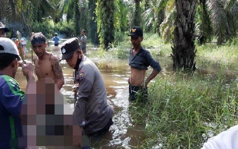 Terseret Arus Sungai, Pencari Kayu di Muba Ditemukan Tewas di Kebun Sawit