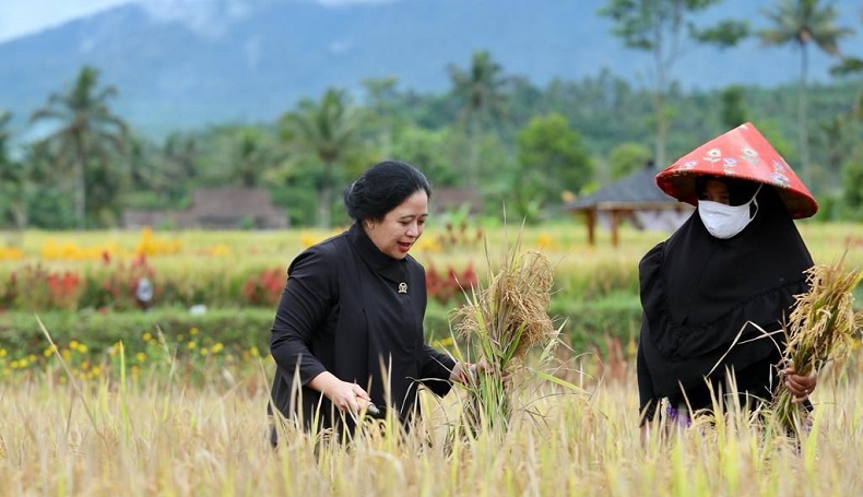 Ketua DPR Sebut Pertanian Bisa Jadi Wisata Unggulan di Indonesia