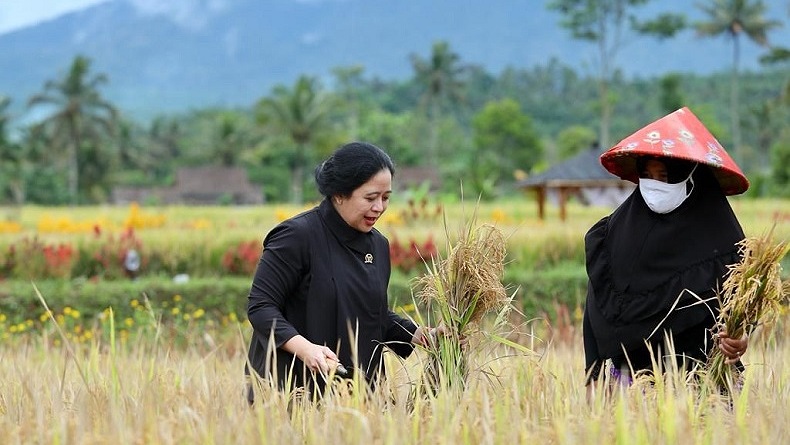 Minta Mafia Tanah Diberantas, Puan Maharani: Mereka Merampas Penghidupan Orang