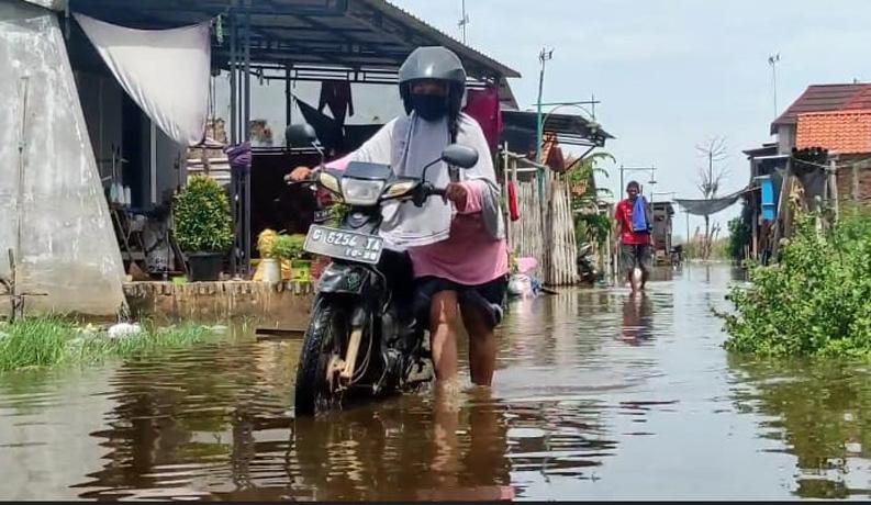 Ratusan Rumah di Kota Pekalongan Terendam Banjir Rob