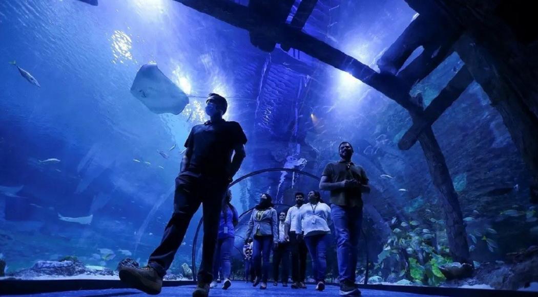 Wow! Akuarium Terbesar Timur Tengah Dibuka di Abu Dhabi, Diisi 45.000 Hewan