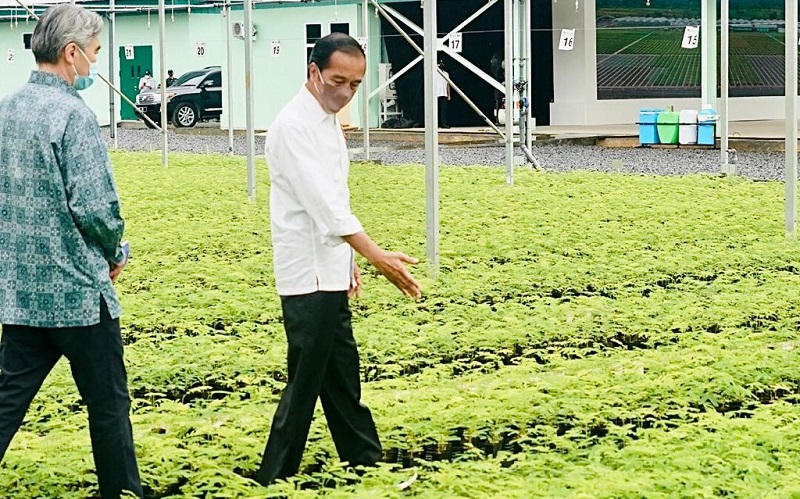 Minta Geopark di Indonesia Dilestarikan, Jokowi: Jangan Dieksploitasi Berlebihan