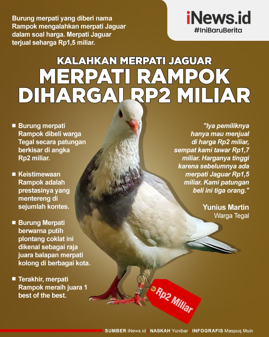 Fantastis, Harga Burung Merpati di Tegal Ini Rp2 Miliar 
