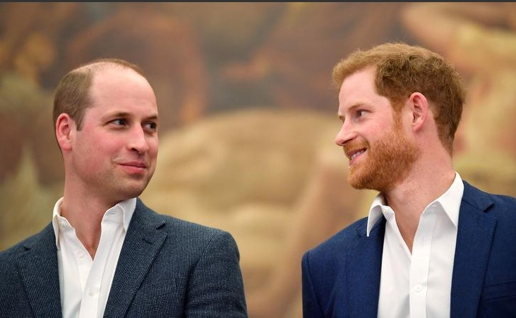 Segini Uang yang Diwariskan Putri Diana untuk William dan Harry