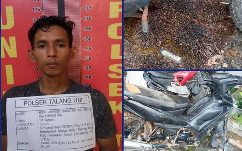 Curi Buah Sawit, Pria PALI Ditangkap di Tempat Persembunyian 