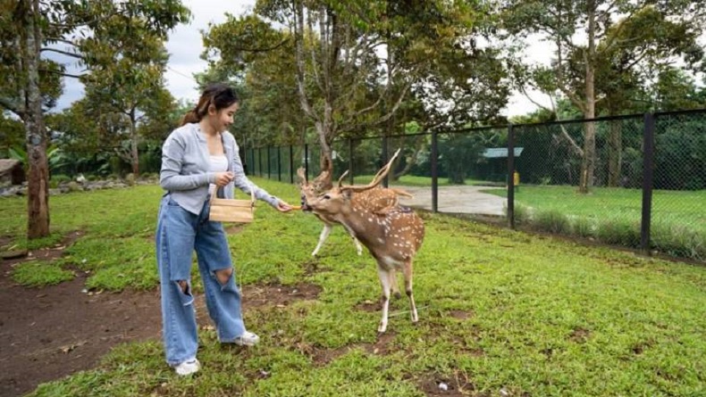 Liburan Seru di KEK MNC Lido City: Belum Puas? Nginap Aja di Lido Lake Resort