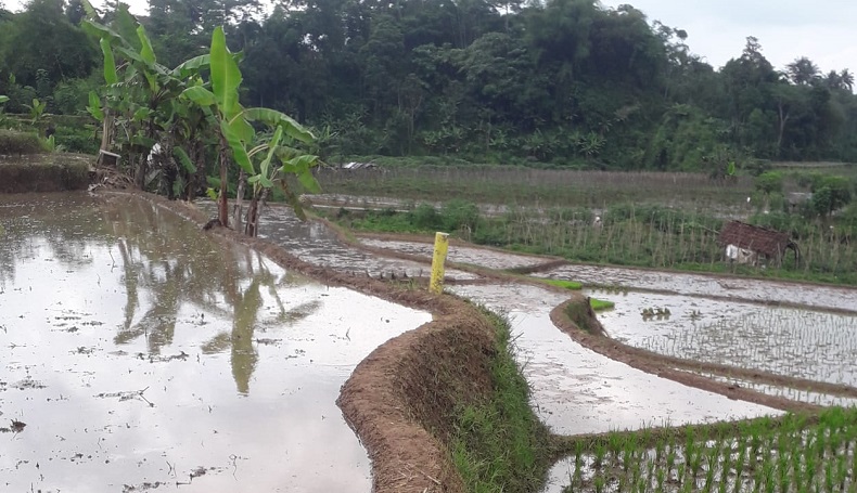 Warga Cililin KBB Resah Gegara Sawah Dipatok Tanpa Pemberitahuan