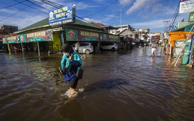 Banjir Rob di Kalsel Tak Pengaruhi Lahan Pertanian