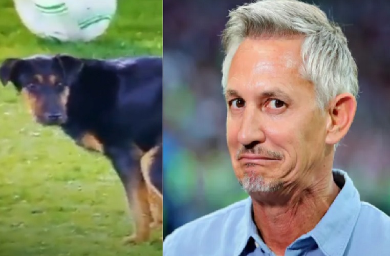 Aksi Anjing BAB di Laga Liga Konferensi Eropa Viral, Reaksi Gary Lineker Bikin Ngakak