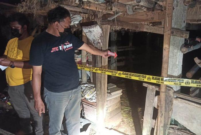 Ditinggal Main ke Tetangga, Warga Kulonprogo Kehilangan 2 Ekor Sapi