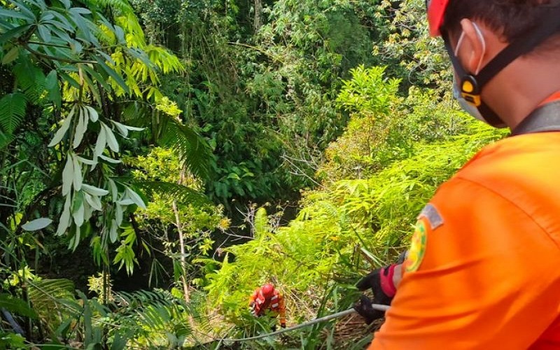 4 Korban Minibus Terjun ke Jurang di Pakpak Bharat Masih dalam Pencarian