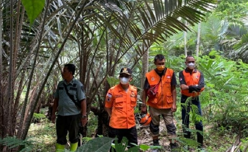 Tempat Relokasi Korban Erupsi Gunung Semeru Dilengkapi CCTV dan Peternakan Terpadu 
