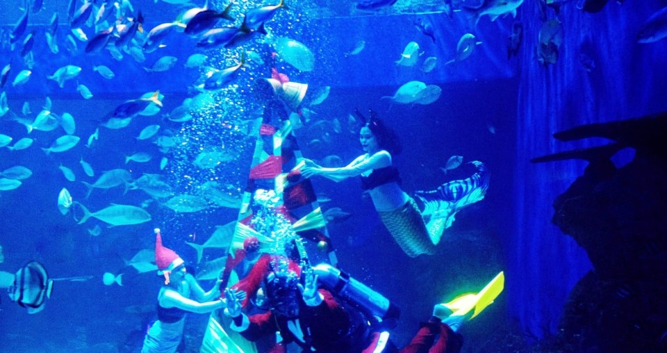 Libur Natal dan Tahun Baru, Jakarta Aquarium Safari Batasi Pengunjung 75 Persen 