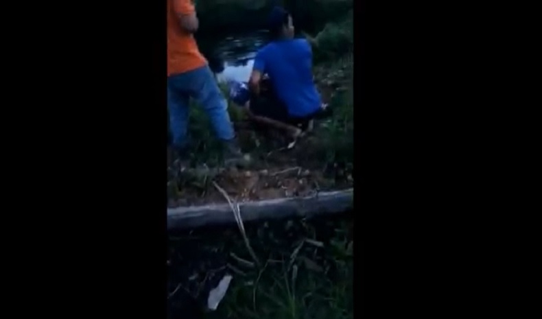 Asyik Mancing, Pria Ini Diterkam Buaya dan Diseret ke Sungai hingga Menghilang