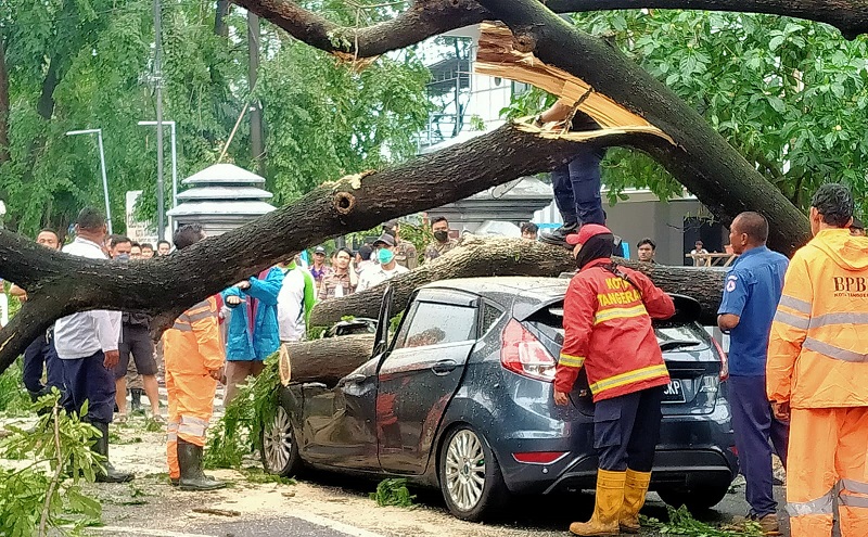 Hujan Deras dan Angin Kencang, Ini Sembilan Titik Pohon Tumbang di Kota Tangerang