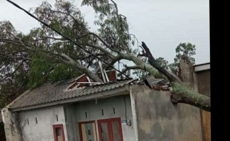 Hujan Deras dan Angin Kencang Terjang Malang Raya, Puluhan Rumah Rusak 