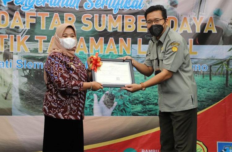 4 Tanaman Lokal di Sleman Dilengkapi Sertifikat Genetik