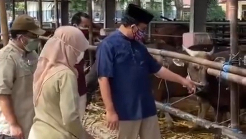 RPH Dharma Jaya Terima 600 Ekor Sapi, Anies : Naik 30 Persen Dibandingkan Tahun Lalu 