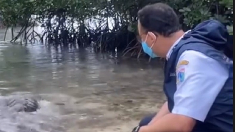 Lepas Penyu di Pulau Sebira, Anies: Yang Itu Namanya Lestari