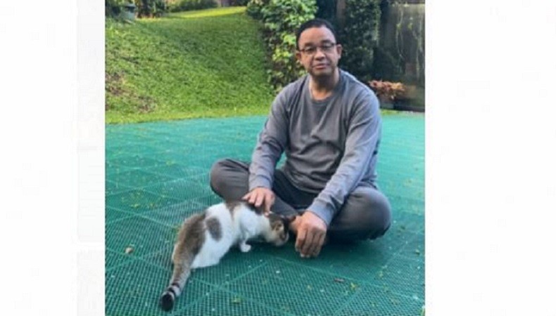 Anies Punya Kucing Kaki 3 Bernama Lego : Dia Super Manja