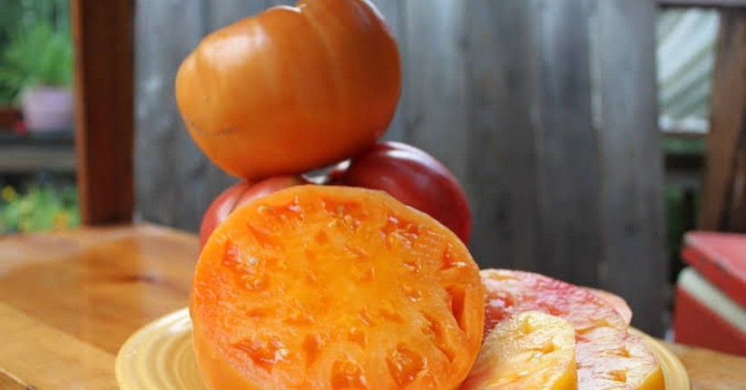 Terungkap, Ini Khasiat yang Didapat jika Rutin Konsumsi Buah Kesemek