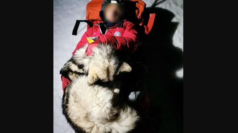 Pendaki Jatuh dari Lereng Salju, Anjing Ini Beri Pelukan Hangat 13 Jam
