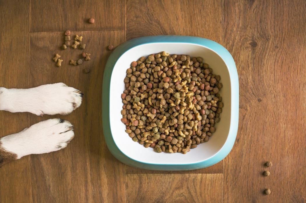 Tak Punya Uang Beli Makanan, Ibu Ini Terpaksa Konsumsi Makanan Anjing
