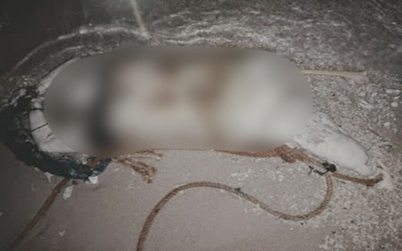 Geger Mayat Perempuan Ditemukan Membusuk di Pantai Pulau Berhala, Tangan Terikat Tali