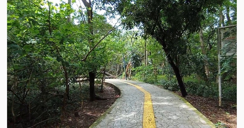 Ide Liburan Akhir Pekan ke Hutan Kota Srengseng, Asyik Bisa Seruput Madu Alami