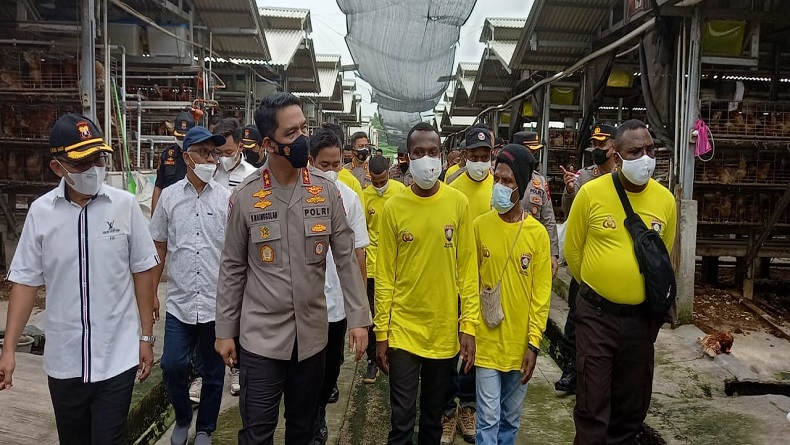 18 Warga Papua Belajar Ternak Ayam Petelur di Karanganyar 