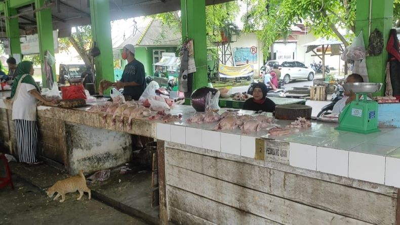 Jaga Stabilisasi Harga Daging Ayam, Pemprov Babel Gandeng Pelaku Usaha Peternakan