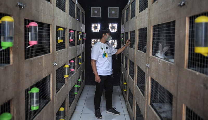  Usaha Ternak yang Cepat Panen dan Untung Berkali Lipat 