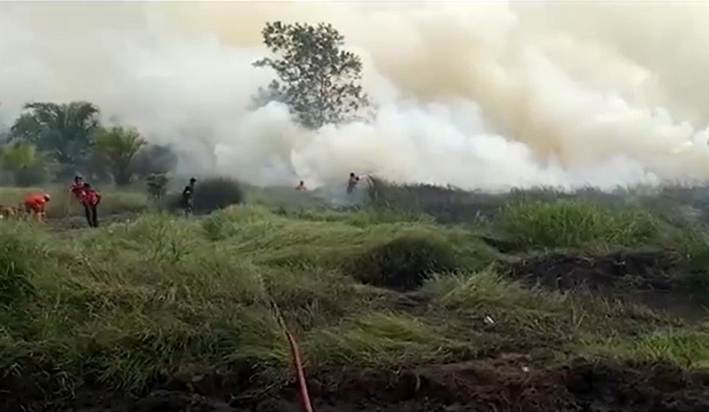 Lahan Gambut Warga Kotawaringin Barat Terbakar, Petugas Kesulitan Padamkan Api