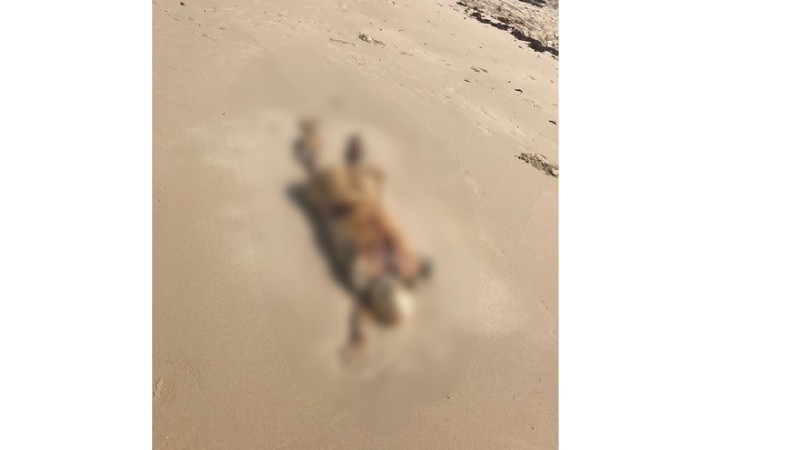 Penemuan Mayat di Pantai Tanjung Berikat Bangka Tengah, Kondisinya Tak Utuh