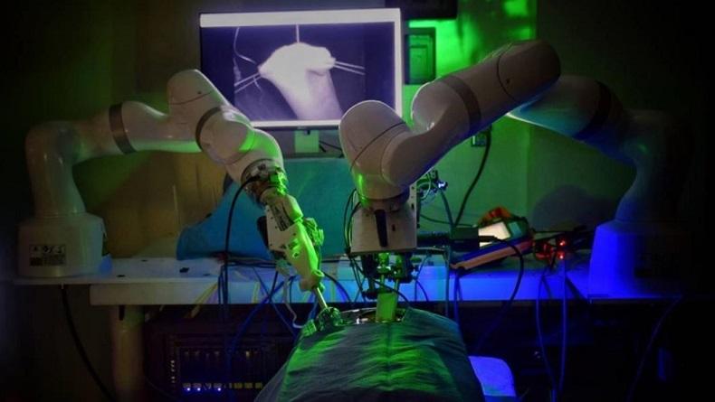 Robot Ini Lakukan Operasi pada Usus Babi tanpa Bantuan Manusia, Hasilnya Mencengangkan