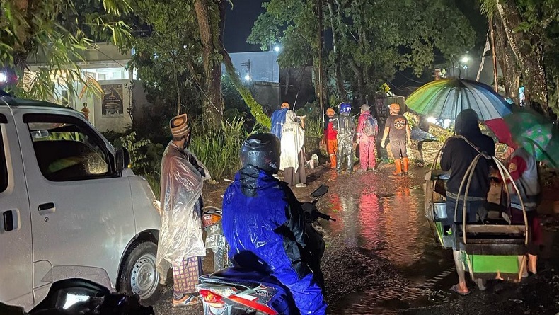 Pohon Mahoni Diameter 120 Cm di Sukaraja Sukabumi Tumbang, Lalu Lintas Sempat Macet
