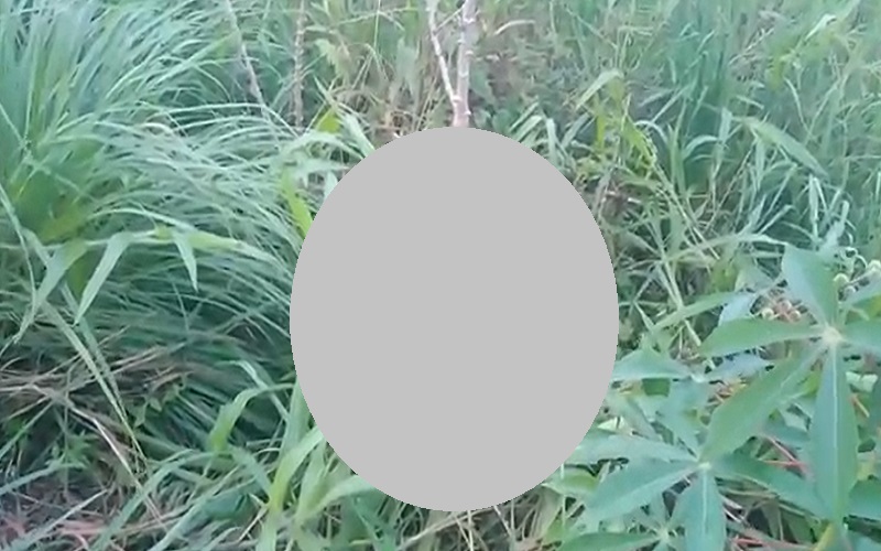 Timika Gempar, Jasad Perempuan Ditemukan Tergeletak di Kebun