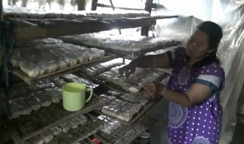 Kedelai Mahal, Perajin Tempe di Tuban Terpaksa Perkecil Ukuran hingga 10 Persen 