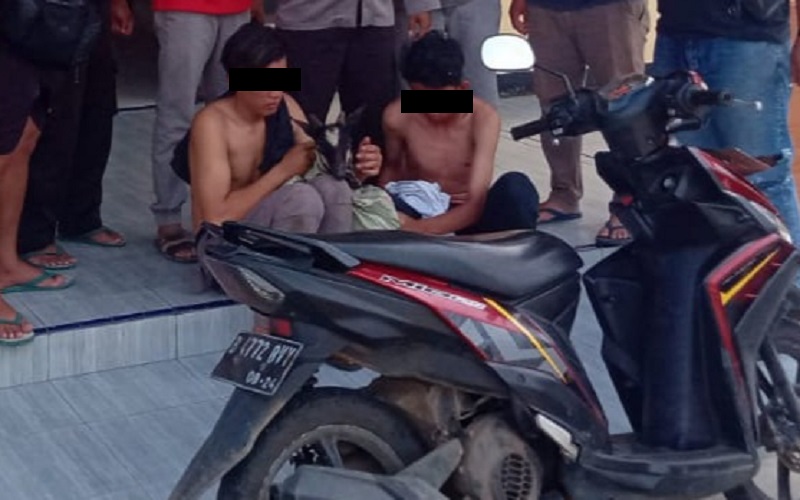 Drama Penangkapan 2 Pencuri di Bengkulu, Bawa Kambing saat Dikejar Polisi