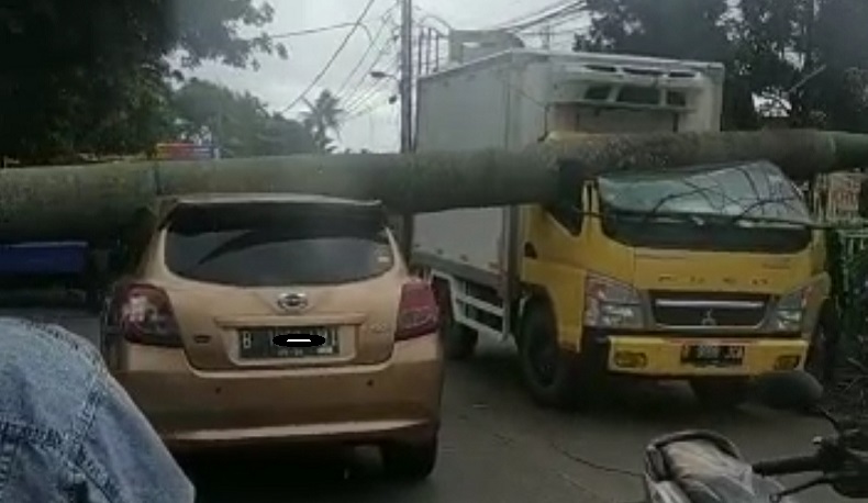 Ngeri, Pohon Tumbang Timpa Kepala Truk di Pamulang