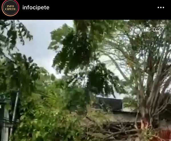 Pohon Tumbang Diterpa Angin Tutup Akses Jalanan di Cipete Utara