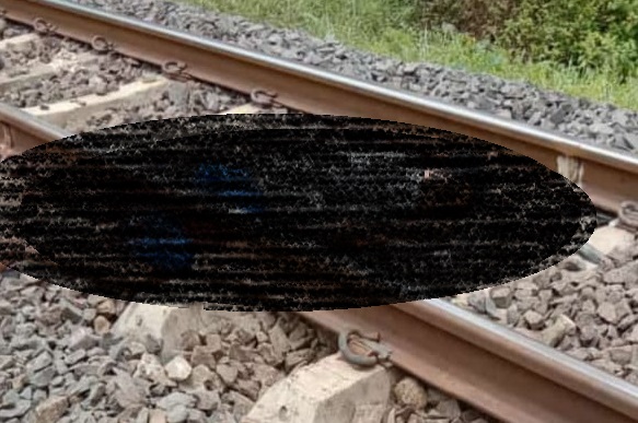 Tertabrak Kereta Api, Tubuh Warga di Way Kanan Terpotong