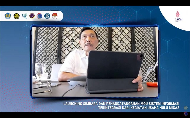Sebut Masih Banyak Tikus-tikus di Balik Bisnis Nikel dan Minerba, Luhut: Kita Harus Selesaikan